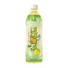 * 康师傅茉莉柚茶500ml
