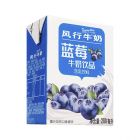 * 风行牛奶蓝莓200ml