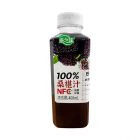 M9康之味桑葚汁400ML